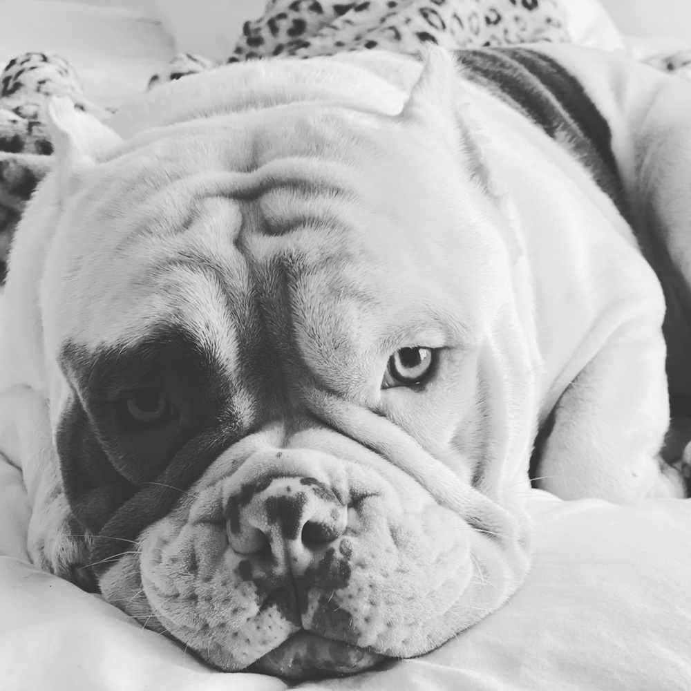 Meet your Posher, Victoria